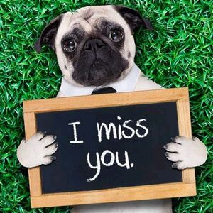 Meet your Posher, Silva